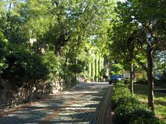 Yıldız Technical University building in Istanbul with a view on the way to the rectorate