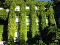 Yildiz Technical University Rectorate Building in Istanbul