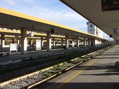 View of the platforms and canopies at Catania train station