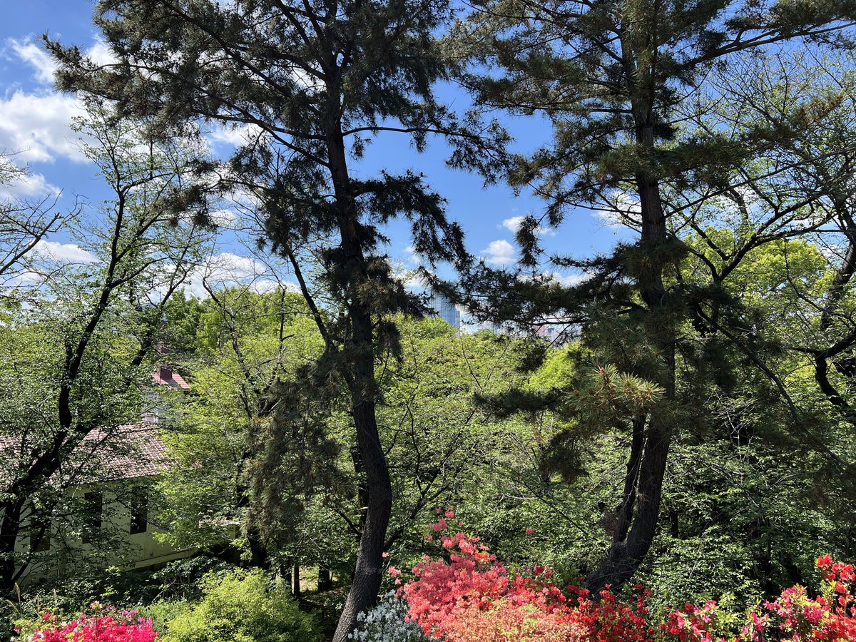 View of Tokyu Kabukicho Tower from Mount Hakone summit in Toyama Park, Shinjuku, Tokyo with red roof of Toyama Church in foreground