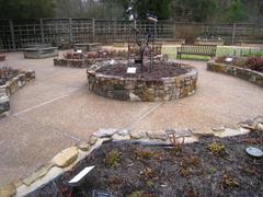 Carnivorous plants collection at North Carolina Botanical Garden in Chapel Hill