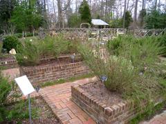 Mercer Reeves Hubbard Herb Garden at North Carolina Botanical Garden in Chapel Hill