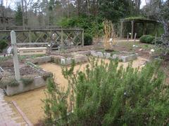 Mercer Reeves Hubbard Herb Garden at North Carolina Botanical Garden in Chapel Hill