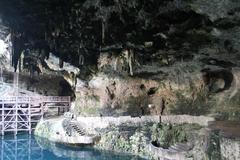 Cenote Zaci natural sinkhole with clear water surrounded by lush greenery in Valladolid, Mexico