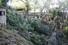 View of Cenote Zaci natural sinkhole with crystal clear blue water surrounded by rocky walls and greenery