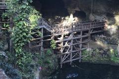 Natural limestone cenote with clear blue water surrounded by lush green vegetation at Cenote Zaci