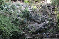 Cenote Zaci natural sinkhole with clear blue waters surrounded by lush greenery and rocky cliffs