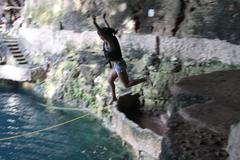 Cenote Zaci natural sinkhole with clear water surrounded by lush green vegetation