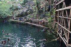 View of Cenote Zaci surrounded by lush green trees under a bright blue sky