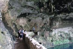 Cenote Zaci natural freshwater pool with rocky walls and lush greenery