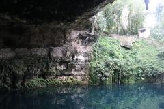 Natural swimming hole Cenote Zaci surrounded by limestone and lush greenery