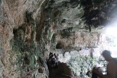 Clear blue water of Cenote Zaci surrounded by lush green vegetation and rocky cliffs