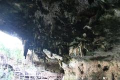 Cenote Zaci natural sinkhole with clear blue water surrounded by rocky cliffs and greenery