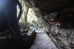 Cenote Zaci with turquoise water surrounded by rocky cave and greenery in Valladolid, Mexico