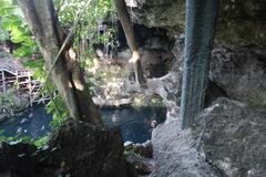Beautiful view of Cenote Zaci with water and surrounding natural vegetation