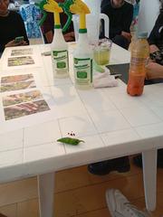 Urban garden workshop at Museo del Oro with children and instructor