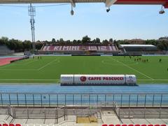 Interior view of Romeo Neri Stadium Rimini from central stands August 2024