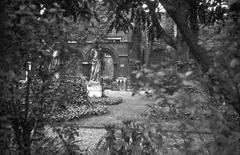 View of the garden at Musée de Cluny in Paris
