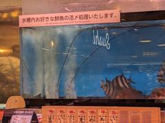 Aquarium filled with live fish for consumption in a market setting