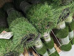 Artificial turf rolls displayed in a DIY shop in Tokyo