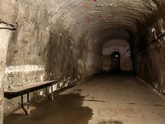 Nighttime Halloween run event in Kőbányai cellar system Budapest with colorful lights and runners