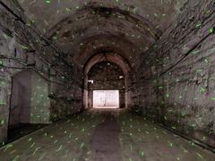 Halloween runners in Kőbányai cellar system Budapest 2024