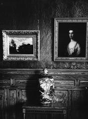 Interior of Lord Strathcona's residence with paintings, Montreal, 1916