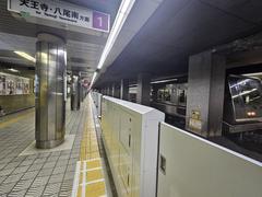 Tanimachi 4-chome Station platform on Tanimachi Line view