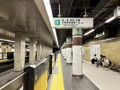 Tanimachi Yonchome Station Chuo Line platform 2024