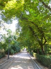 View of Parque del Buen Retiro in Madrid with green trees and pathways