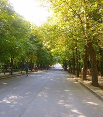 Scenic view of Parque del Buen Retiro in Madrid with lush greenery and walking paths