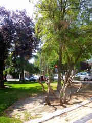 Scenic view of Parque del Buen Retiro in Madrid with lush trees and a clear walking path