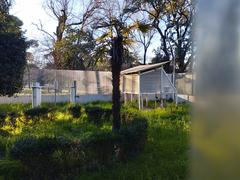 Fenced garden with meteorological observation instruments at Retiro Meteorological Observatory, rain gauges on the left and thermometer shelter on the right