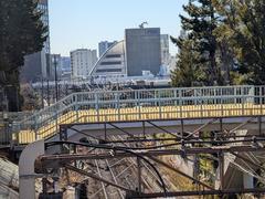 Futako-Tamagawa Rise