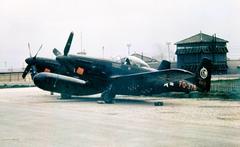 F-82G Twin Mustang aircraft with serial number 46-376 of the 68th Fighter Squadron at Itazuke Air Base in Japan