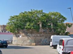 Noria De Huerta Godino