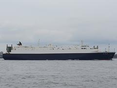 Ship at the entrance of Tokyo port with clear blue sky