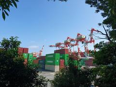 Evergreen Tokyo terminal with shipping containers and cranes