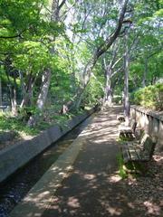 Senkawa Aqueduct on the border of Nishitokyo and Musashino City Tokyo