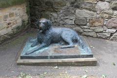 |
  'Bum' The Dog