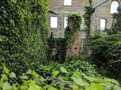 Overgrown abandoned building in Alcatraz Penitentiary with dense vegetation