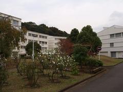 Japan Women's University Nishiikuta Campus blue sky and modern buildings