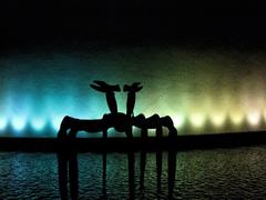 Two deer kissing at night near Hong Kong Space Museum