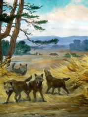 Dire wolf fossil skull from Rancho La Brea museum mural