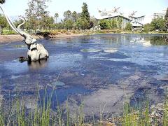 La Brea Tar Pits ponds with museums in the background on a clear day