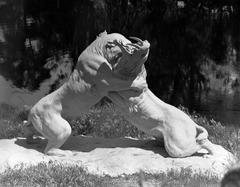 Statues of saber-tooth tigers fighting at La Brea Tar Pits in Los Angeles