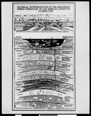 LaBrea Tar Pits strata chart from 1938 showing geological layers and characteristic fossils in Hancock Park Los Angeles