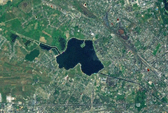 Lacul Morii lake in Bucharest Romania with calm water and surrounding greenery