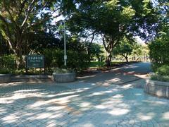 Daan Forest Park