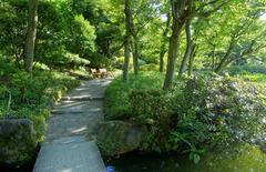 Old Yasuda Garden with traditional Japanese landscaping and pond in Sumida, Tokyo